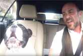 French Bulldog And His Owner Perform Duet Of Rihanna's Diamonds