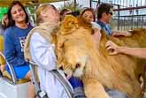 Visitors Did Not Expect Such A Warm Welcome From A Lion