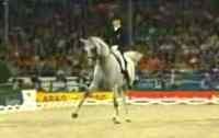 Sensational Dancing Horse
